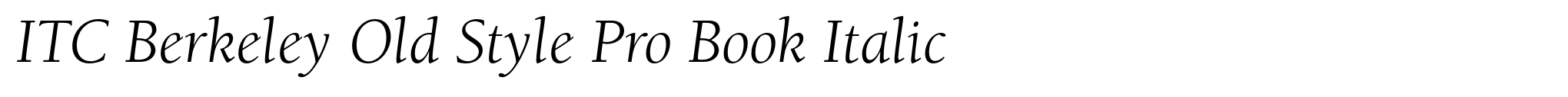 ITC Berkeley Old Style Pro Book Italic image